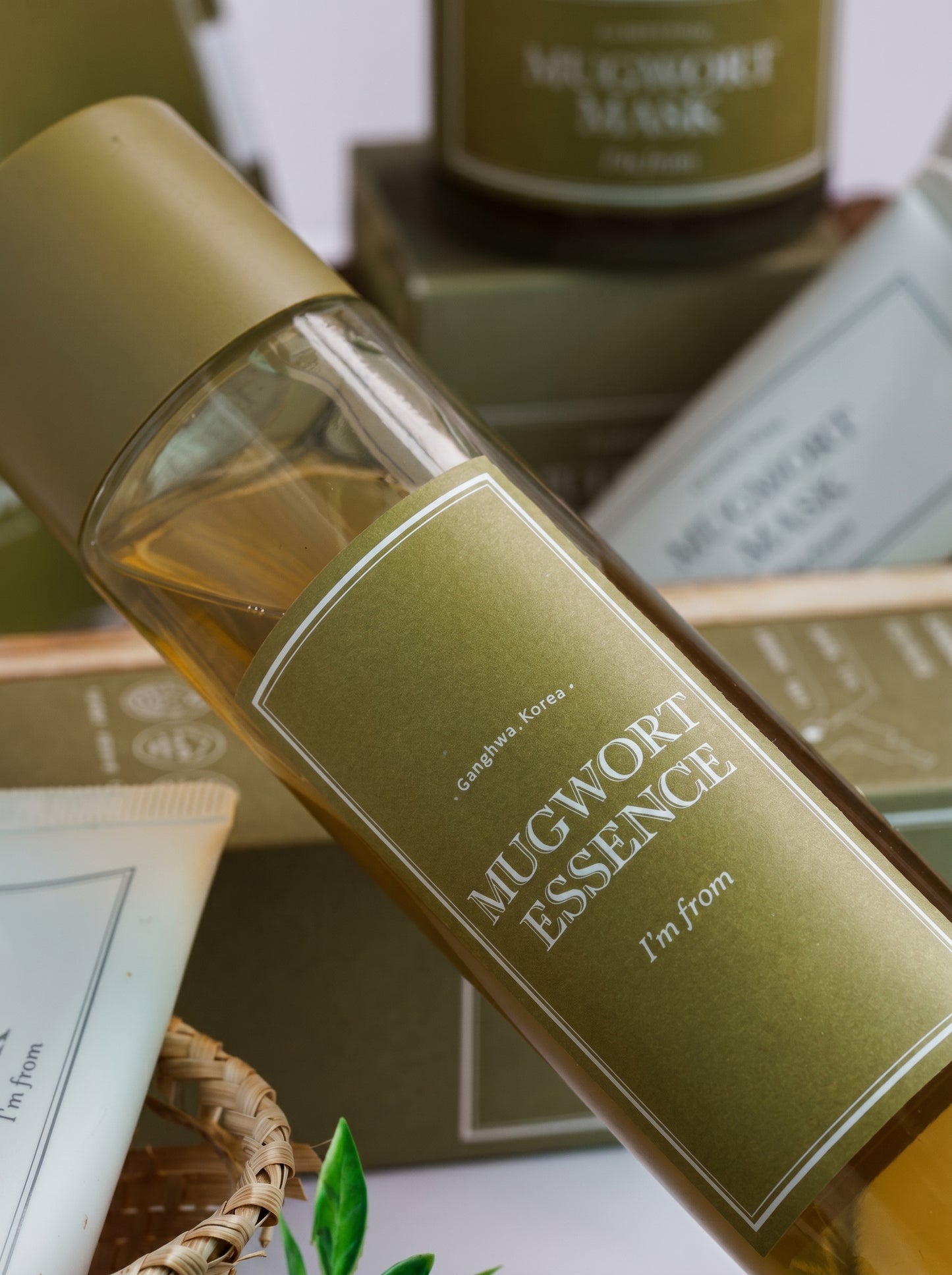 I'm from Mugwort Essence